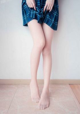 冬之蝉