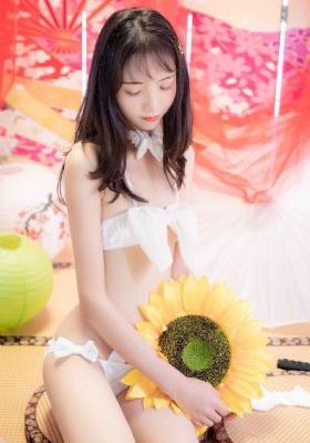 伦理电影网